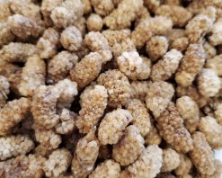 dried mulberries