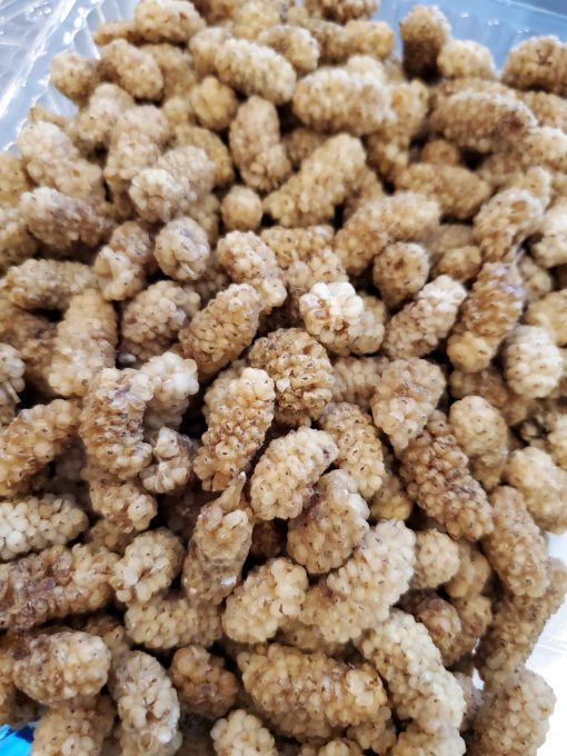 dried mulberries